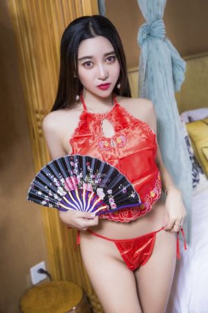 侦察英雄电视剧