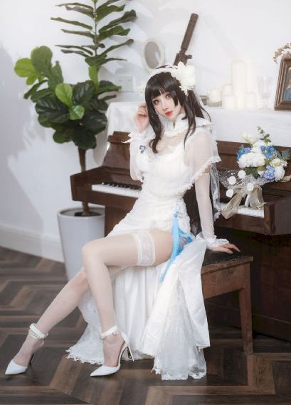 完美世界动漫免费全集观看